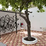 Lemon Tree