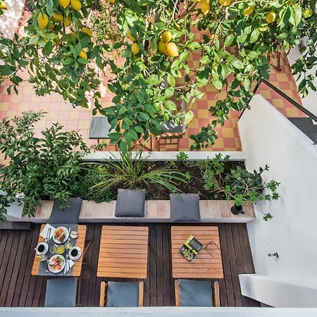 Lemon Tree 3*