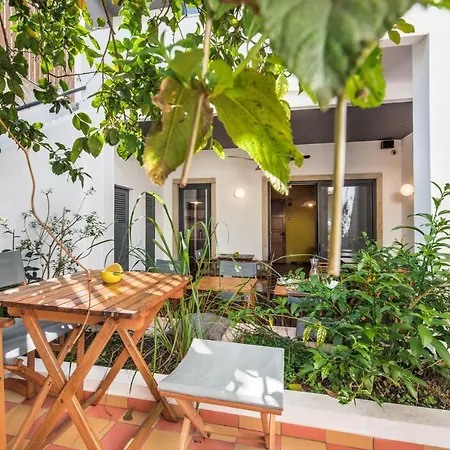 Lemon Tree