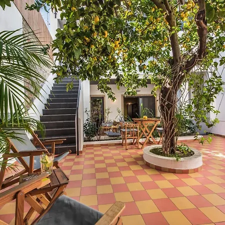 Bed & Breakfast Lemon Tree