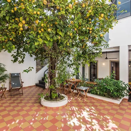 Bed & Breakfast Lemon Tree