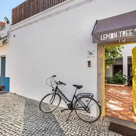 Bed & Breakfast Lemon Tree