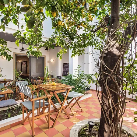 Bed & Breakfast Lemon Tree