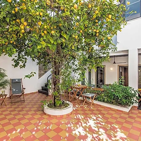 Lemon Tree פארו