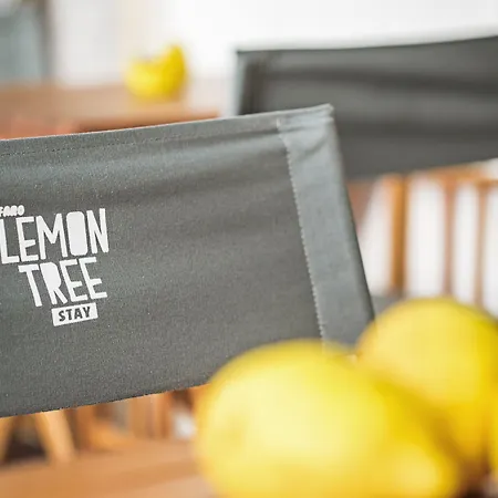Lemon Tree Faro