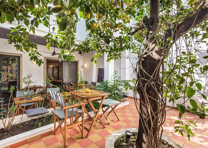 Couette-café Lemon Tree