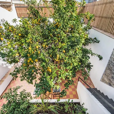 Frühstückspension Lemon Tree Distrikt Faro