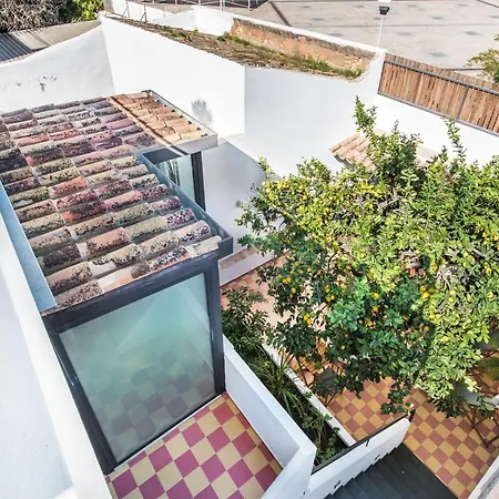 Lemon Tree