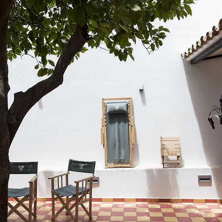 Lemon Tree