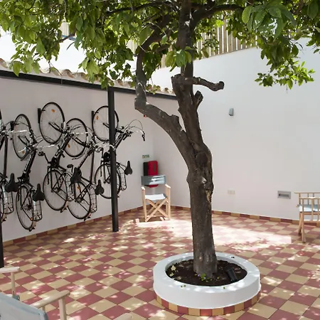 Lemon Tree